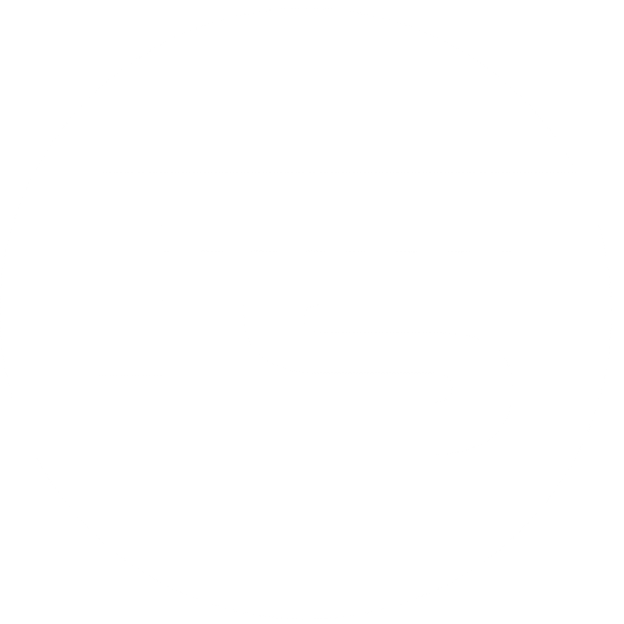 Fidesport White Logo